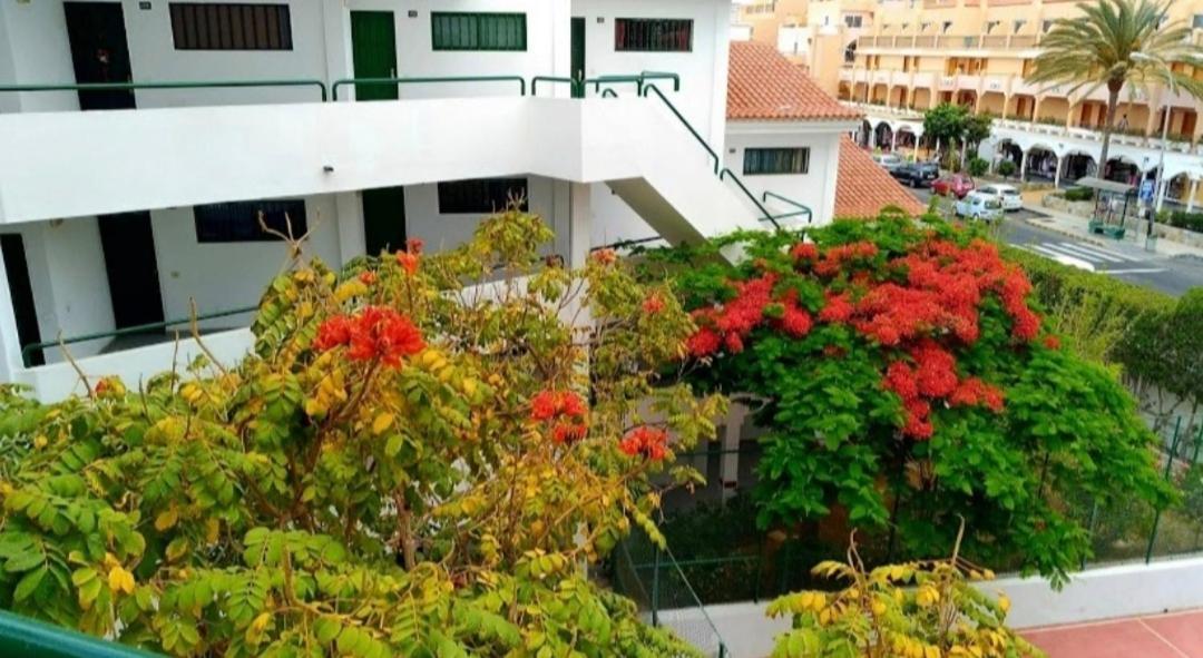 Apartamento Luxury Sonnenland Maspalomas  Exterior foto